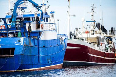 Toplu terminal. Kargo limanı vinç inşaatları. Renkli industri