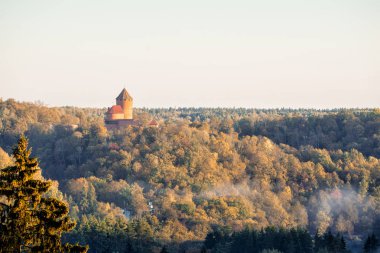 Güneşli bir sonbahar gününde renkli ağaçlar ile çam ağacı orman manzarası. Arka planda Turaida kalesi. Sigulda, Letonya