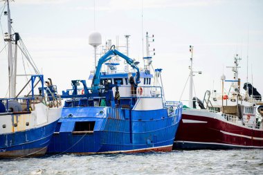 Toplu terminal. Kargo limanı vinç inşaatları. Renkli industri