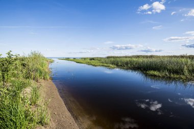 Güneşli bir günde berrak mavi gökyüzüne karşı göl manzarası, Estonya