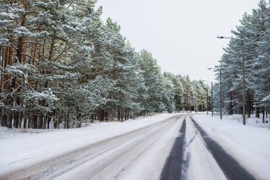 Güneşli bir kış gününde çam ormanı ile karla kaplı asfalt yol, Estonya