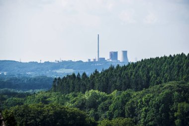 Bulutlu bir günde yeşil ormanın bir vieew. Tecklenburg, Almanya