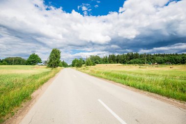 Güneşli bir yaz gününde arka planda bir orman ile yeşil ülke alanları ile bir asfalt yol, Letonya