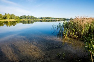 Arka planda bir orman ile mavi gölün panoramik görünümü, Letonya