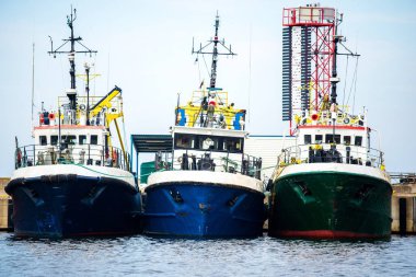 Toplu terminal. Kargo limanı vinç inşaatları. Renkli industri