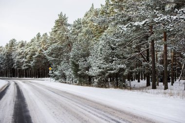 Güneşli bir kış gününde çam ormanı ile karla kaplı asfalt yol, Estonya