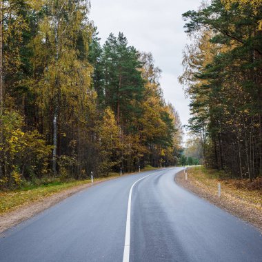 Bir bulutlu sonbahar günü asfalt ülke yolda Letonya görünümünü