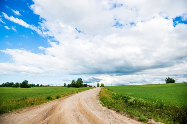 Una Strada Sterrata Attraverso Verdi Campi Campagna Una Giornata Estiva — Foto Stock