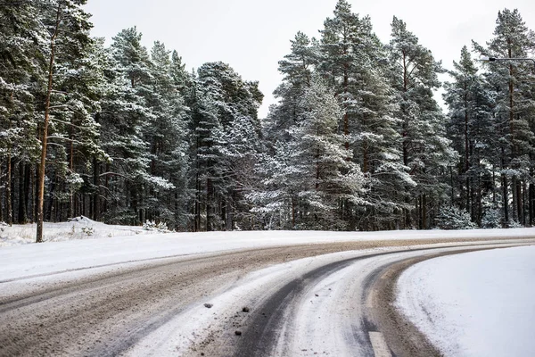 Hóval Borított Aszfaltút Fenyveserdőben Egy Napsütéses Téli Napon Észtországban — Stock Fotó