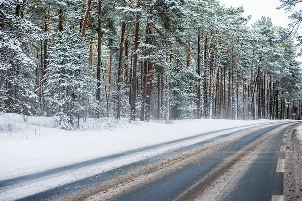 Hóval Borított Aszfaltút Fenyveserdőben Egy Napsütéses Téli Napon Észtországban — Stock Fotó