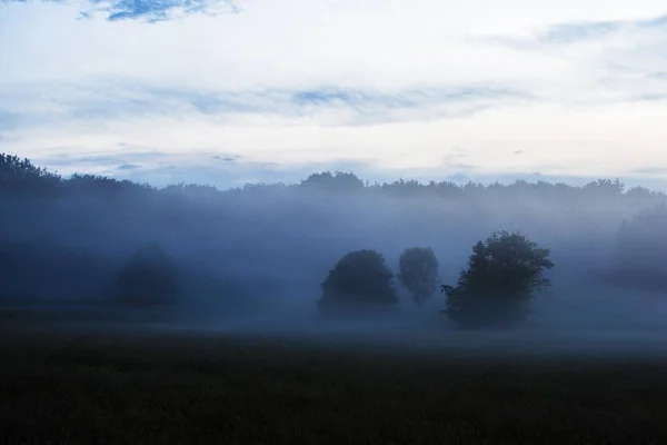 Morning fog over the field and forest. Pure morning light. Teckl — Stock Photo, Image