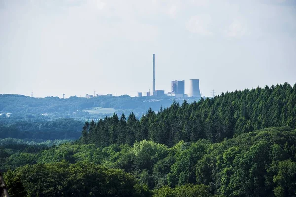 Blick Auf Den Grünen Wald Einem Bewölkten Tag Tecklenburg — Stockfoto