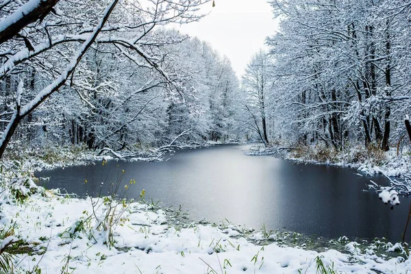 Bulutlu Bir Kış Gününde Karla Kaplı Ormanda Donmuş Gölün Görünümü — Stok fotoğraf