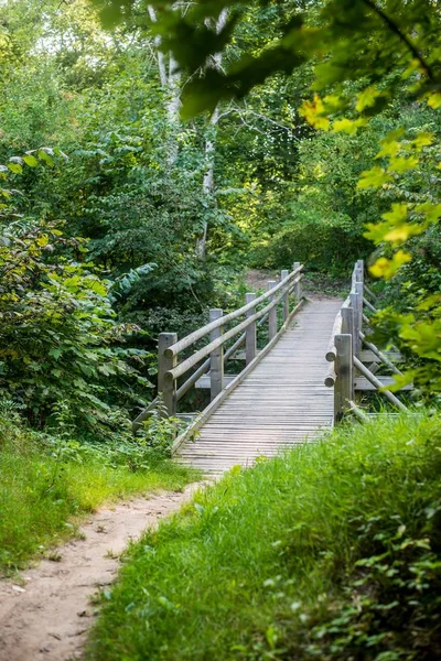 Деревянный Мост Зеленом Лесу Осенний Пейзаж Сигулда — стоковое фото