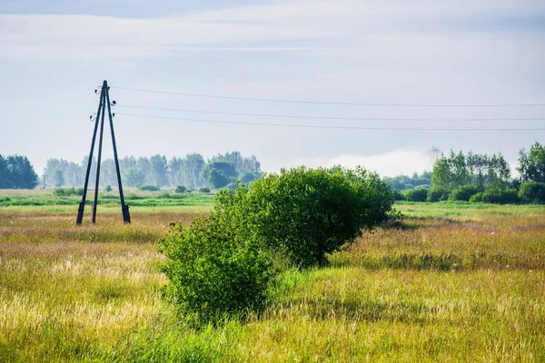 Pólo Transformador Num Campo Rural Verde Letónia — Fotografia de Stock