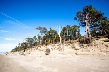 Güneşli bir günde bulutlu mavi gökyüzü altında Baltık deniz kıyısı ve deniz manzarası, Letonya