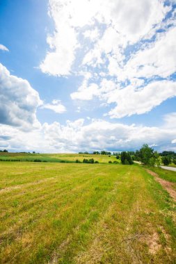 Güneşli bir yaz gününde bulutlu mavi gökyüzü altında yeşil ülke alanının bir görünümü, Letonya