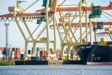 Toplu terminal. Kargo limanı vinç inşaatları. Renkli industri