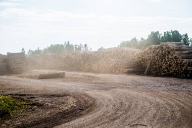 Toprak yolda odun, Estonya