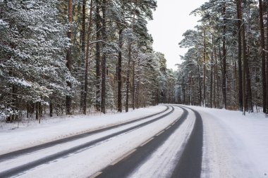 Güneşli bir kış gününde çam ormanı ile karla kaplı asfalt yol, Estonya