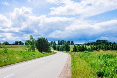 Güneşli bir yaz gününde arka planda bir orman ile yeşil ülke alanları ile bir asfalt yol, Letonya