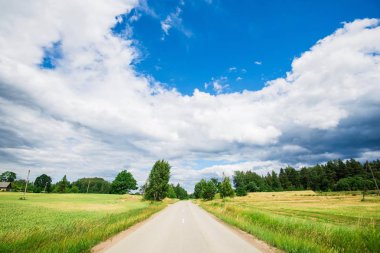 Güneşli bir yaz gününde arka planda bir orman ile yeşil ülke alanları ile bir asfalt yol, Letonya
