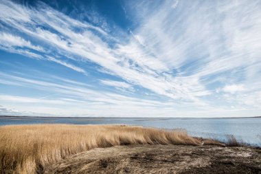 Güneşli bir günde bulutlu mavi gökyüzü altında Baltık deniz kıyısı ve denizpanoramik görünümü, Letonya