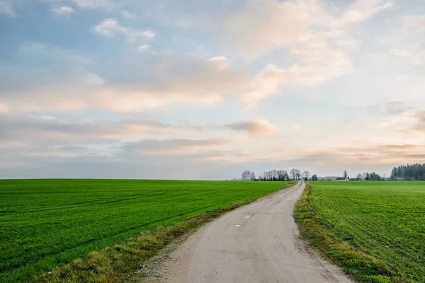 道路と緑の田舎のフィールド上のカラフルな朝の空 リトアニア — ストック写真