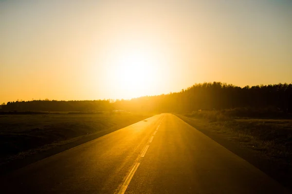 Eine Asphaltierte Landstraße Und Felder Bei Sonnenuntergang Rein Goldenes Licht — Stockfoto