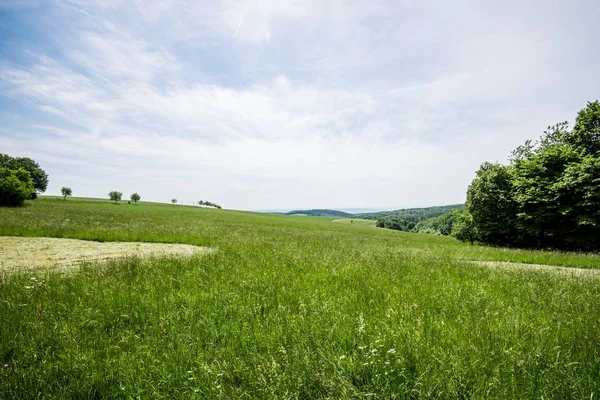 Bulutlu bir günde arka planda bir orman ile yeşil ülke tarım alanları bir görünüm, Almanya
