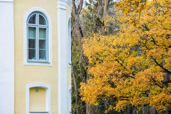 Landhuis Gouden Boom Close Heldere Herfstavond Estland — Stockfoto