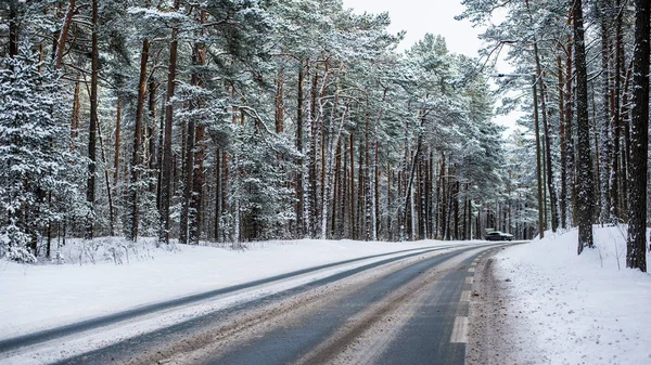 Strada Asfaltata Coperta Neve Attraverso Pineta Una Giornata Invernale Soleggiata — Foto Stock