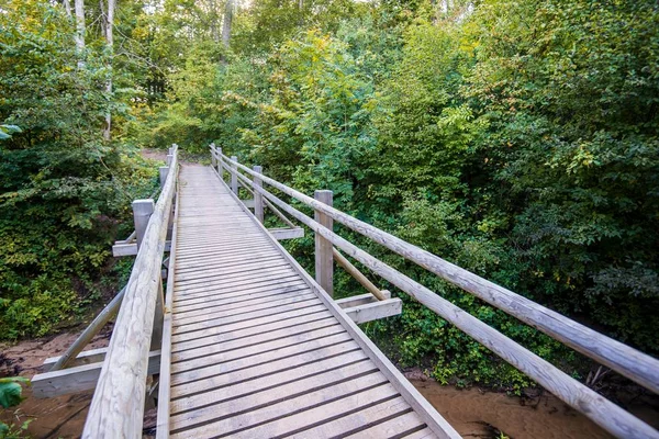 Pont Bois Dans Forêt Verte Paysage Automne Sigulda Lettonie — Photo