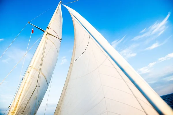 Weiße Segel Der Jacht Gegen Blauen Himmel Ostsee Lettland — Stockfoto