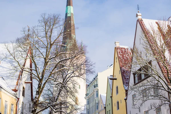 Kış Tallinn Old Town Estonya Açık Güneşli Bir Günde Olaf — Stok fotoğraf