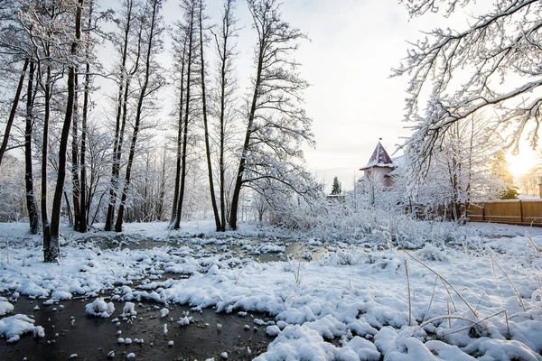 Giorno Inverno Soleggiato Nella Foresta Betulle Primo Piano Una Casa — Foto Stock