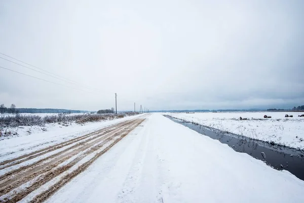 Loopbrug Door Het Met Sneeuw Bedekte Dennenbos Een Bewolkte Winterdag — Stockfoto