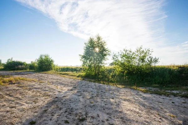 화창한 여름날 라트비아의 들판을 가로지르는 비포장 — 스톡 사진