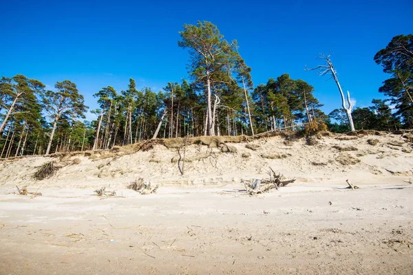 View Baltic Seacoast Lear Blue Sky Sunny Day Latvia — Stock Photo, Image