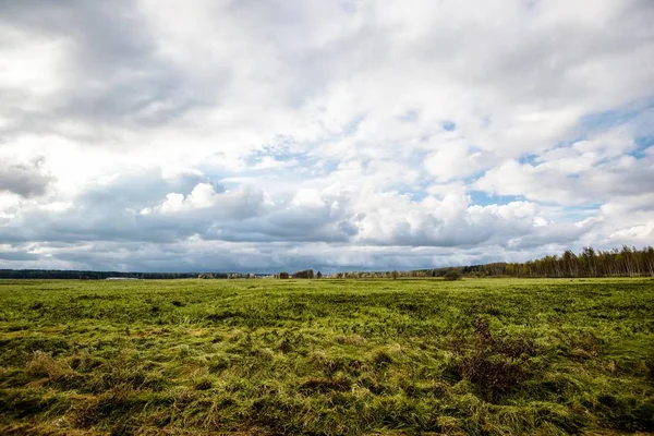 Autumn Landscape View Green Country Agricultural Field Stormy Blue Sky — Stock Photo, Image