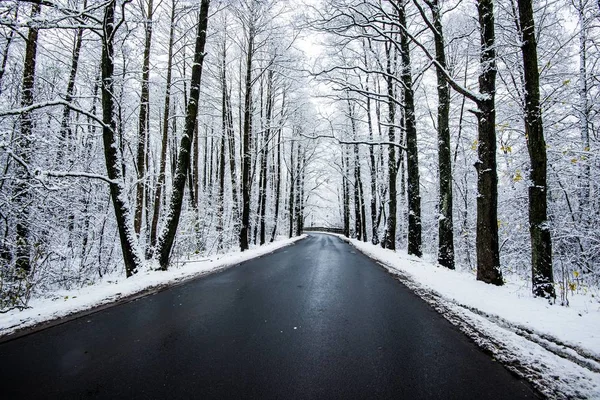 Camino Asfalto Través Del Bosque Pinos Cubierto Nieve Día Nublado — Foto de Stock