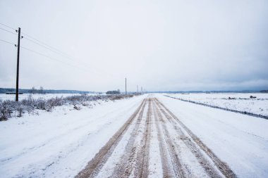 Bulutlu bir kış gününde karla kaplı çam ormanı boyunca yürüyüş yolu, Letonya
