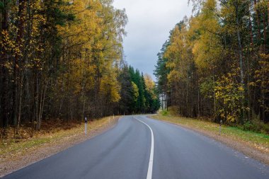 Bir bulutlu sonbahar günü asfalt ülke yolda Letonya görünümünü