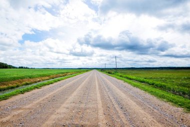 Bir sürü bulutla mavi gökyüzüne karşı yeşil ülke alanları ile toprak bir yol. Letonya