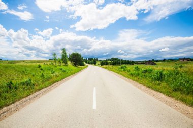Güneşli bir yaz gününde arka planda bir orman ile yeşil ülke alanları ile bir asfalt yol, Letonya