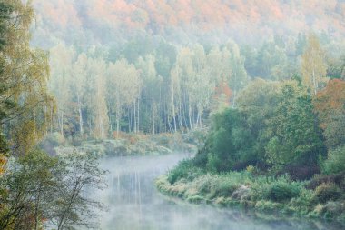 Gauja nehri ve ormanı üzerinde sabah sisi. Berrak gökyüzü ve renkli ağaçlar. Sigulda, Letonya