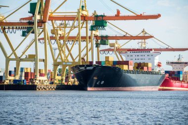 Toplu terminal. Kargo limanı vinç inşaatları. Renkli industri