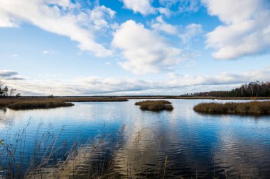Sonbahar manzarası. Bulutlu mavi gökyüzüne karşı nehrin görünümü, Letonya