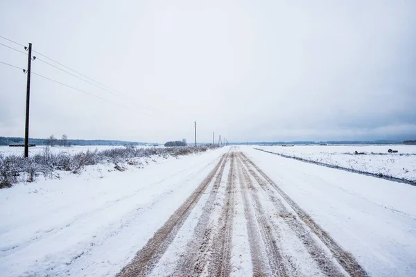 Cesta Přes Zasněžené Borovicové Lesy Oblačného Zimního Dne Lotyšsko — Stock fotografie
