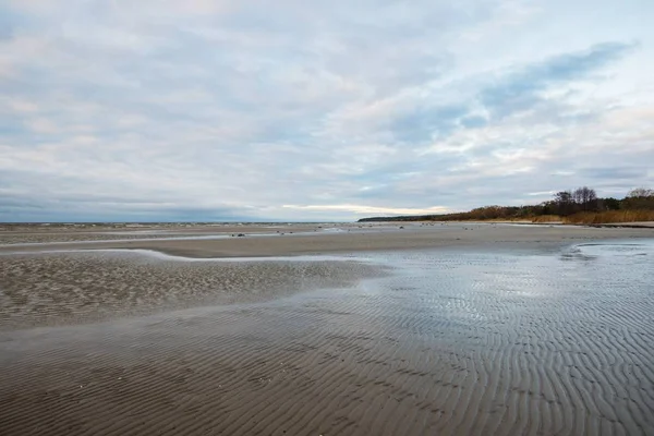 Panoramautsikt Över Östersjökusten Och Havet Vid Solnedgången Tallskog Bakgrunden Färgglada — Stockfoto